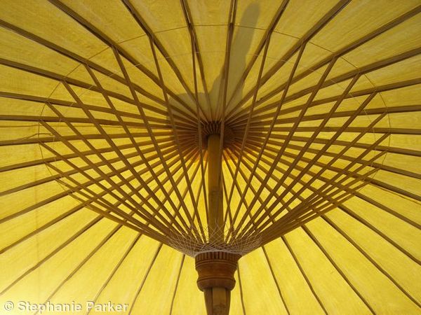 Thail umbrella
