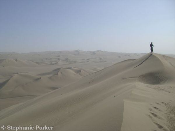 The dunes