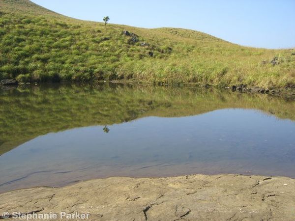Indian reflections