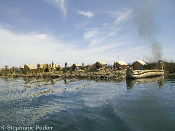 Reed island