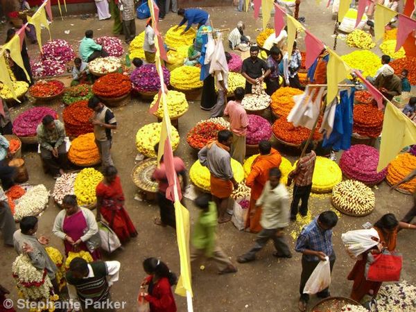 Indian market