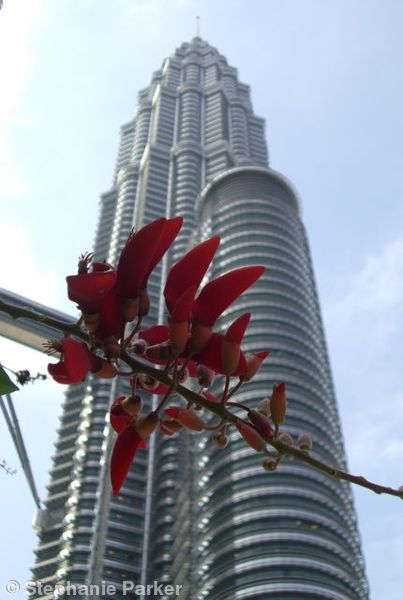 Petronas