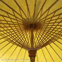 Thail umbrella