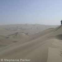 The dunes