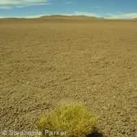 Altiplano desert
