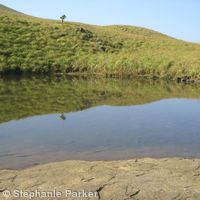 Indian reflections