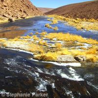 Altiplano river