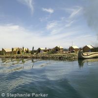 Reed island