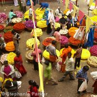Indian market