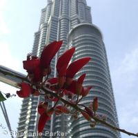 Petronas