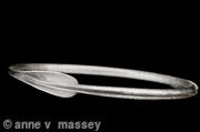 cornucopia-bangle-2