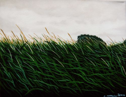 Brimstage Cornfield