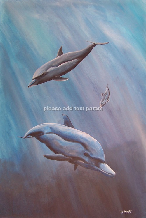 dolphins