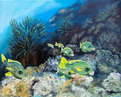 sweetlips on coral reef