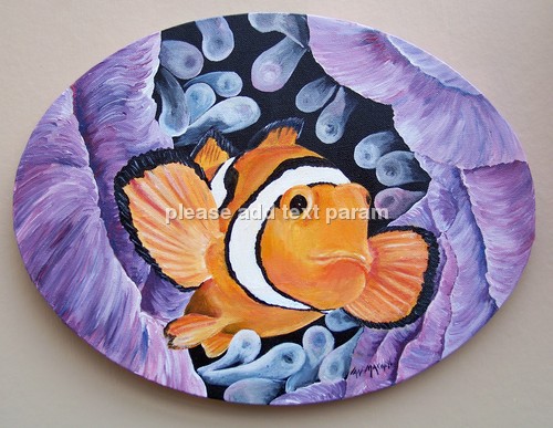 clown fish on coral reef