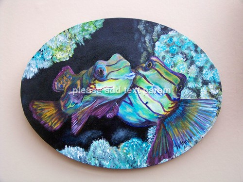 mandarin fish on coral reef