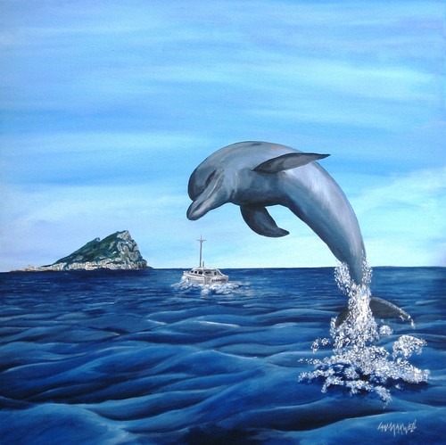 Gibraltar Dolphin