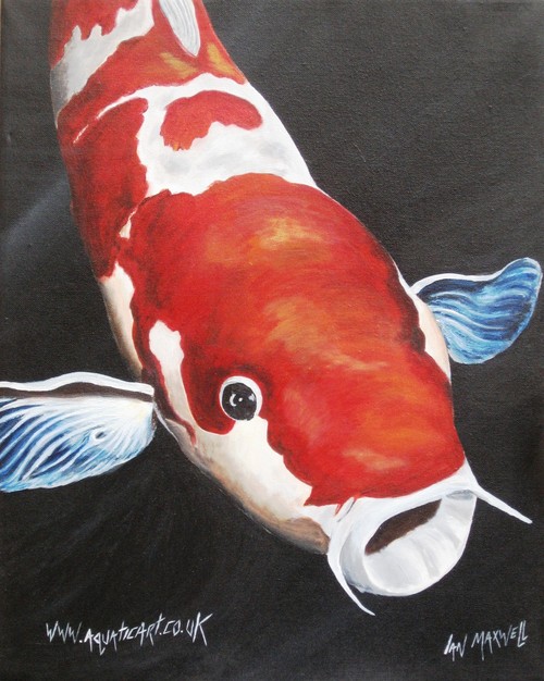 koi
