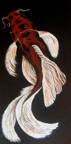 Koi
