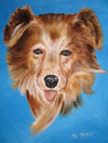 dog portrait