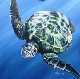 sea-turtle