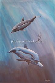 dolphins