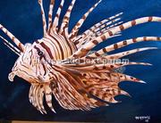 lionfish