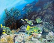 sweetlips on coral reef