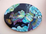 mandarin fish on coral reef