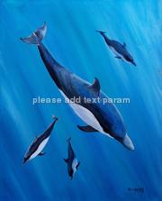 dolphins