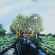irish canal - commision