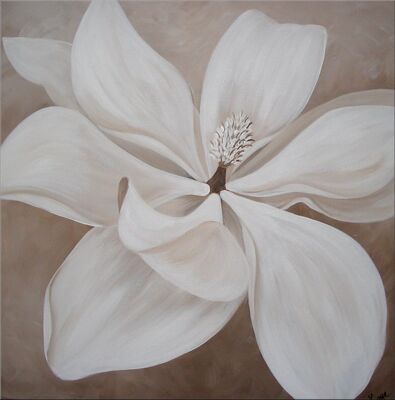 Mellow Magnolia
