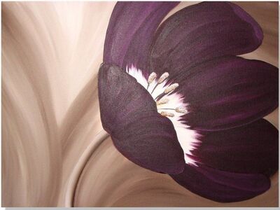 Velvet Tulip