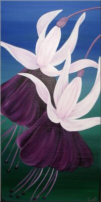 Fuchsia Duet 