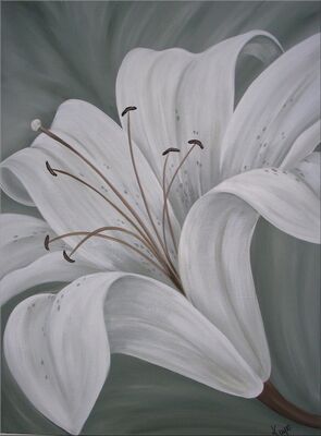 Apple White Lily
