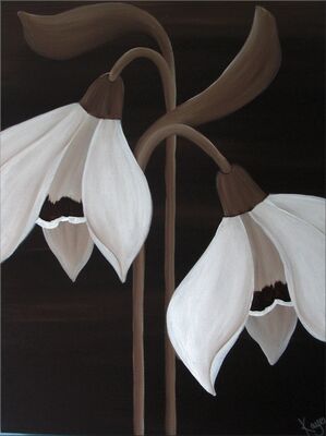 Chocolate Snowdrops