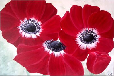Affinity 11 