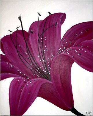 Hot Pink Lily