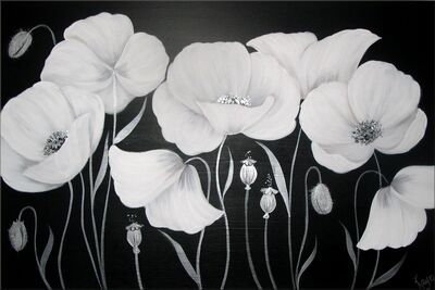 Cotton Poppies
