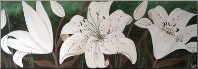 Tracy's Lilies