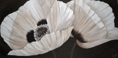 Chocolate Poppy Duet