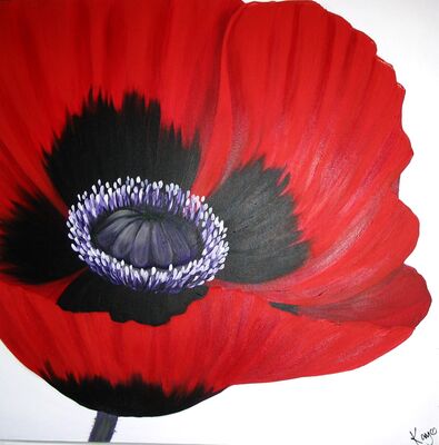 Sarahs Poppy