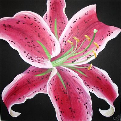 Stargazer