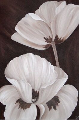 Chocolate Poppies