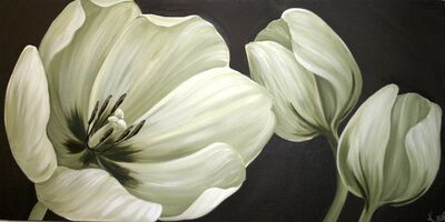 Kevins Tulips