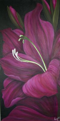 Glorious Gladiolus