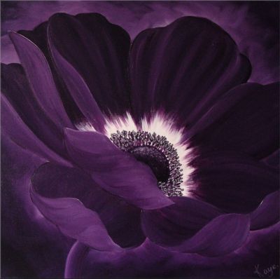 Anemone