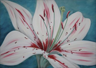 A Lily for Sarah