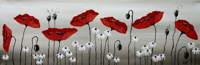 Poppies and Daisies