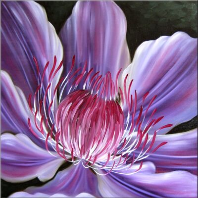 Cool Clematis